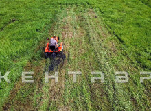 Минитрактор Кентавр Т-4 LITE 6+2 (Toyokawa) STD agri 5,00-12 / 9,50-16 + (фреза/плуг)