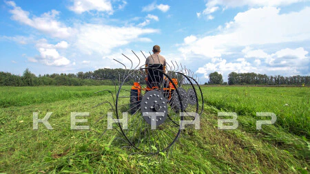 Минитрактор Кентавр Т-4 LITE 6+2 (Toyokawa) STD agri 5,00-12 / 9,50-16 + (фреза/плуг)