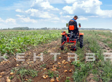 Минитрактор Кентавр Т-4 LITE 6+2 (Toyokawa) STD agri 5,00-12 / 9,50-16 + (фреза/плуг)