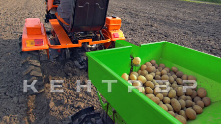 Минитрактор Кентавр Т-5 LITE 6+2 (Toyokawa) STD agri 5,00-12 / 6,50-16 + (фреза/плуг)