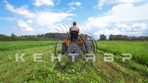 Минитрактор Кентавр Т-4 6+2 (Toyokawa) STD agri 5,00-12 / 9,50-16 + (фреза/плуг)