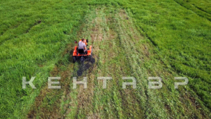 Минитрактор Кентавр Т-4 6+2 (Toyokawa) STD agri 5,00-12 / 9,50-16 + (фреза/плуг)