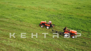 Минитрактор Кентавр Т-4 6+2 (Toyokawa) STD agri 5,00-12 / 9,50-16 + (фреза/плуг)
