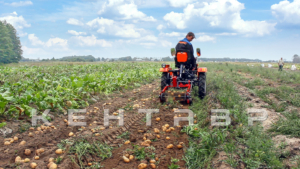 Минитрактор Кентавр Т-4 6+2 (Toyokawa) STD agri 5,00-12 / 9,50-16 + (фреза/плуг)