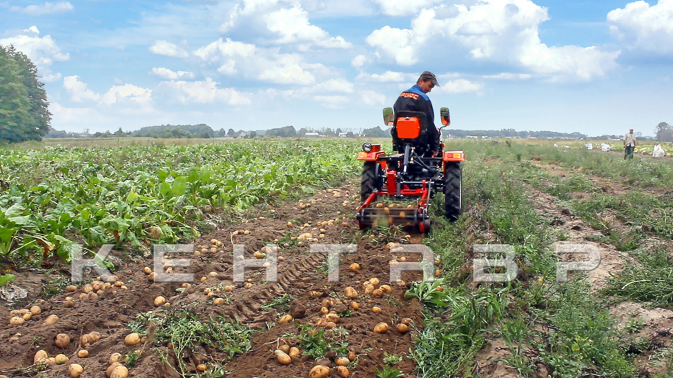 Минитрактор Кентавр Т-4 6+2 (Toyokawa) STD agri 5,00-12 / 9,50-16 + (фреза/плуг)