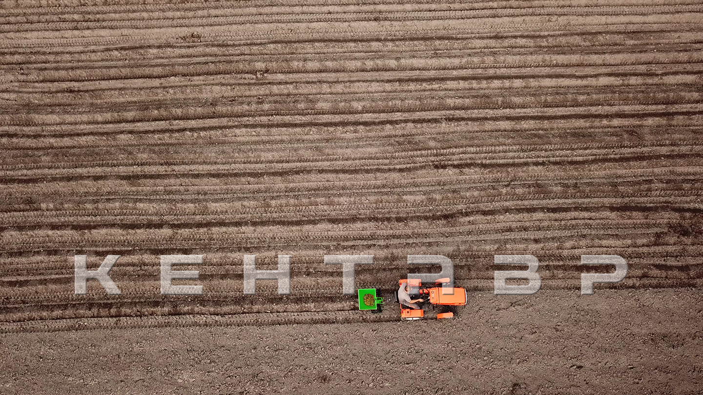 Минитрактор Кентавр Т-4 LITE 6+2 (Toyokawa) STD agri 5,00-12 / 9,50-16 + (фреза/плуг)