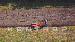 Мотоблок Кентавр 1081Д (Toyokawa)